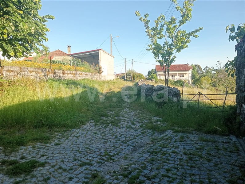 Terreno Rústico  Vouzela, Cambra e Carvalhal de Vermilhas - 1483645 - 4