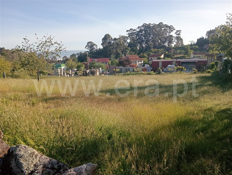 Terreno Rústico  Vouzela, Cambra e Carvalhal de Vermilhas - 1483645 - 6