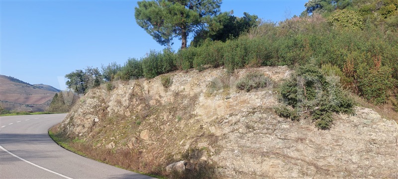 Terreno  Sabrosa, Gouvinhas - 1445668 - 2