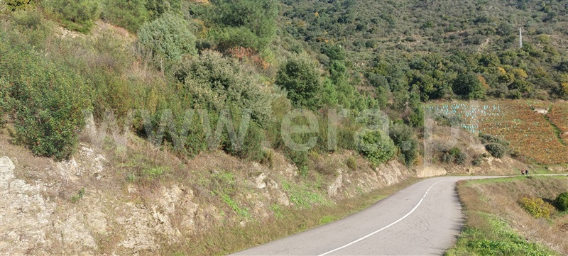 Terreno  Sabrosa, Gouvinhas - 1445668 - 3