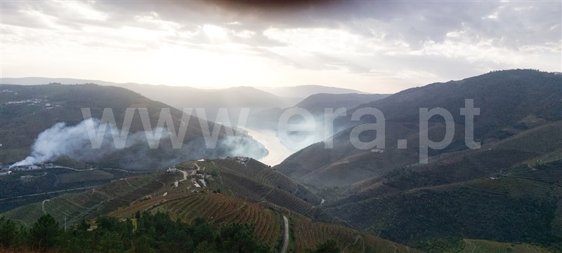 Terreno / Sabrosa, Douro