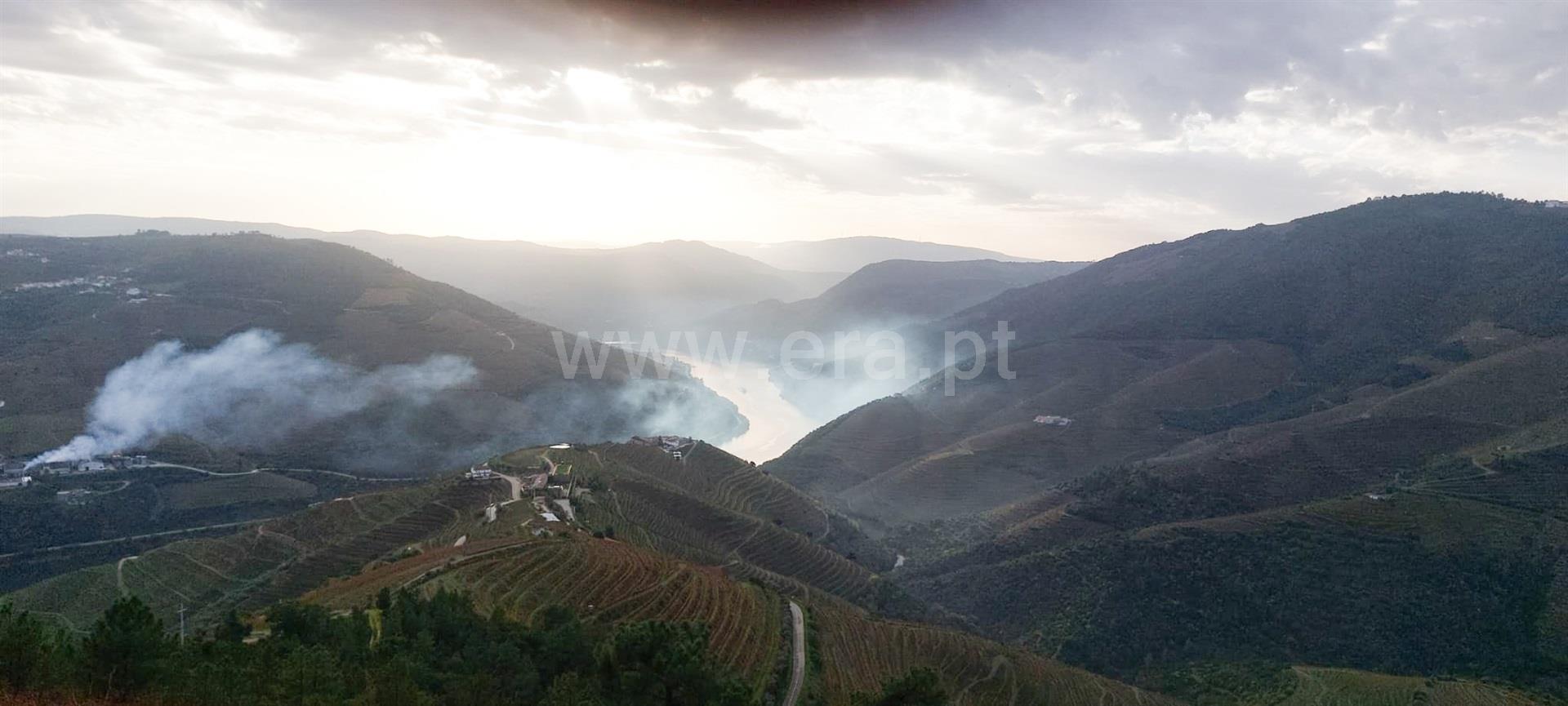 Terreno em Sabrosa