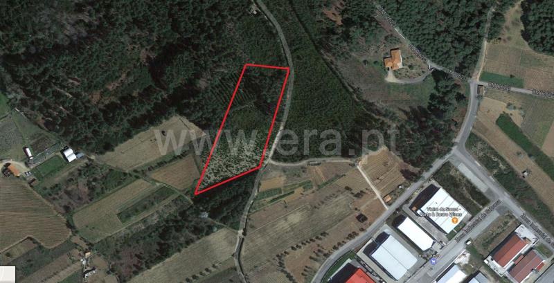 Terreno  Sabrosa, Paços - 806646 - 7