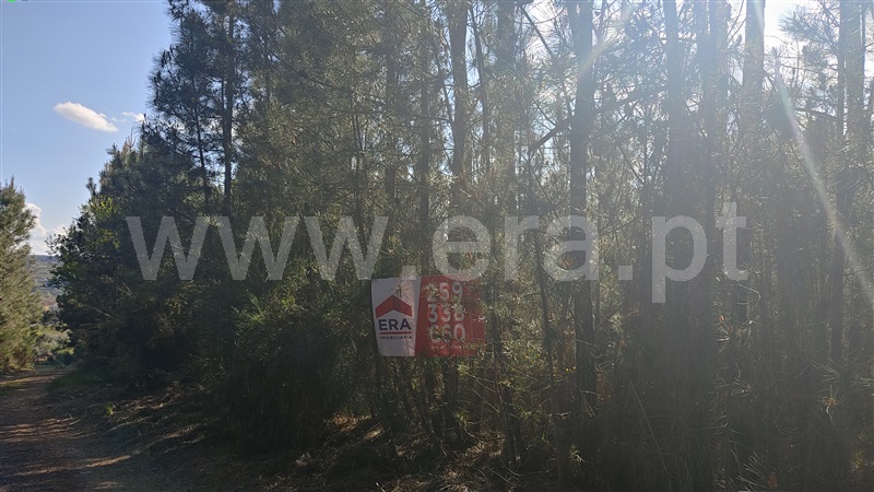 Terreno  Sabrosa, Paços - 806646 - 2
