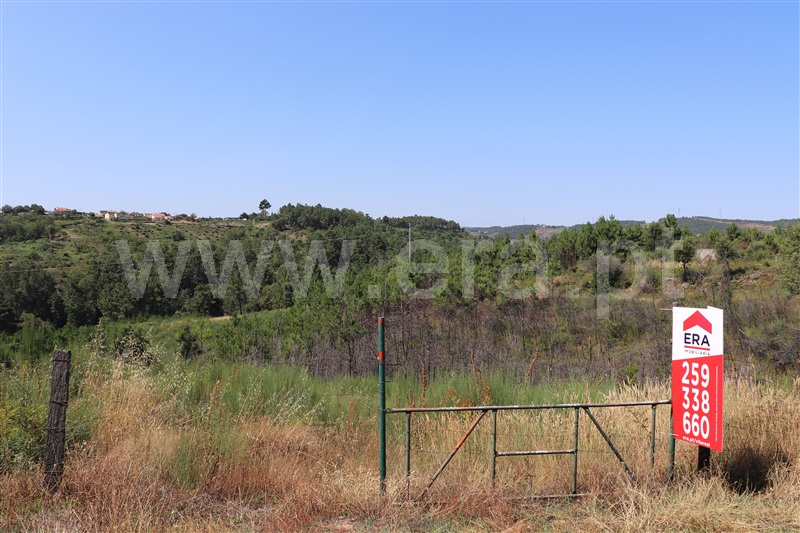 Terreno  Sabrosa, São Martinho de Antas e Paradela de Guiães - 1025917 - 3