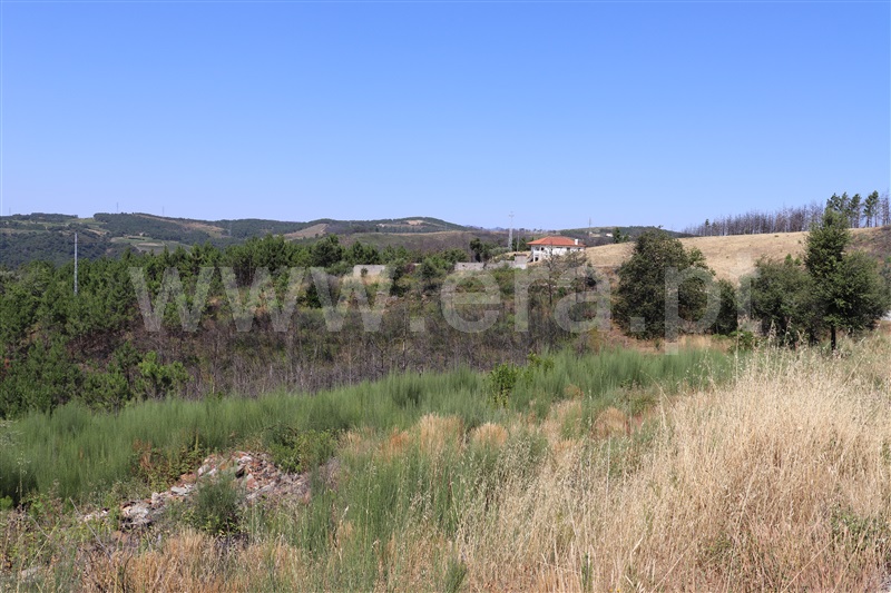 Terreno  Sabrosa, São Martinho de Antas e Paradela de Guiães - 1025917 - 5