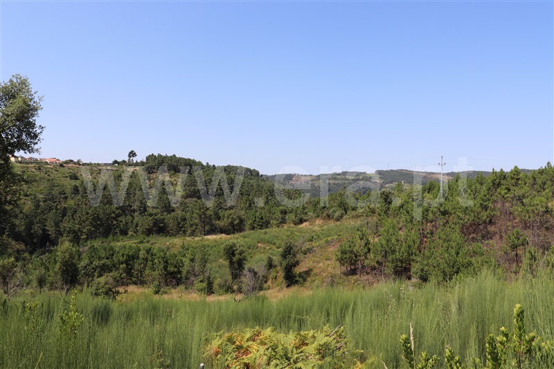 Terreno  Sabrosa, São Martinho de Antas e Paradela de Guiães - 1025917 - 13