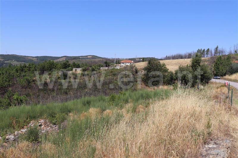 Terreno  Sabrosa, São Martinho de Antas e Paradela de Guiães - 1025917 - 15