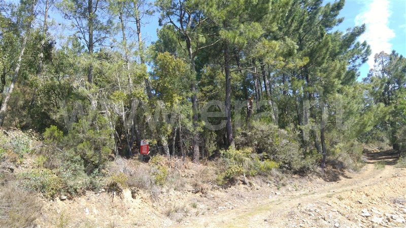 Terreno  Sabrosa, São Martinho de Antas e Paradela de Guiães - 905150 - 7