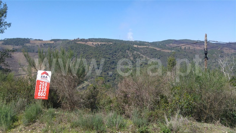 Terreno / Sabrosa, São Martinho de Antas e Paradela de Guiães