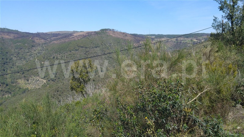 Terreno  Sabrosa, São Martinho de Antas e Paradela de Guiães - 905150 - 5