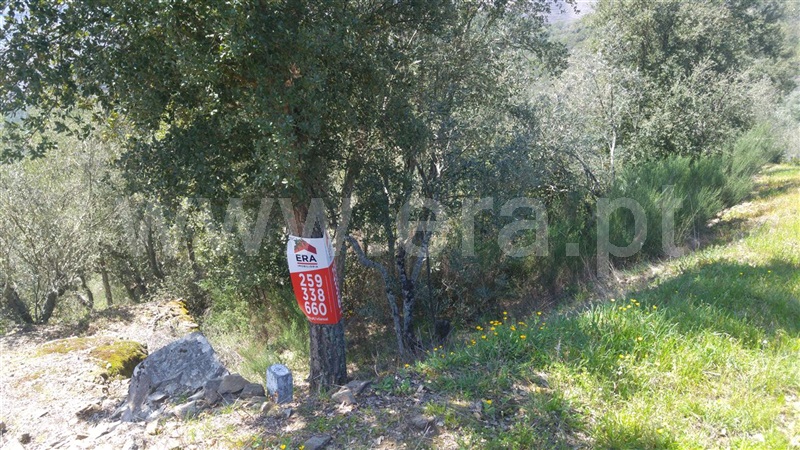 Terreno  Sabrosa, São Martinho de Antas e Paradela de Guiães - 905150 - 9