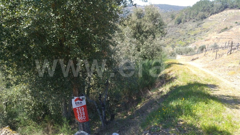 Terreno  Sabrosa, São Martinho de Antas e Paradela de Guiães - 905150 - 12