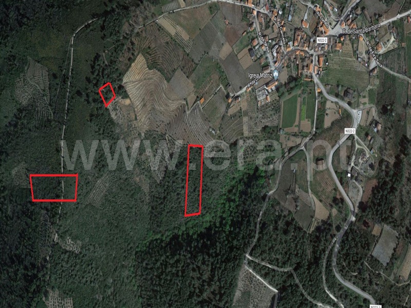Terreno  Sabrosa, São Martinho de Antas e Paradela de Guiães - 905150 - 15