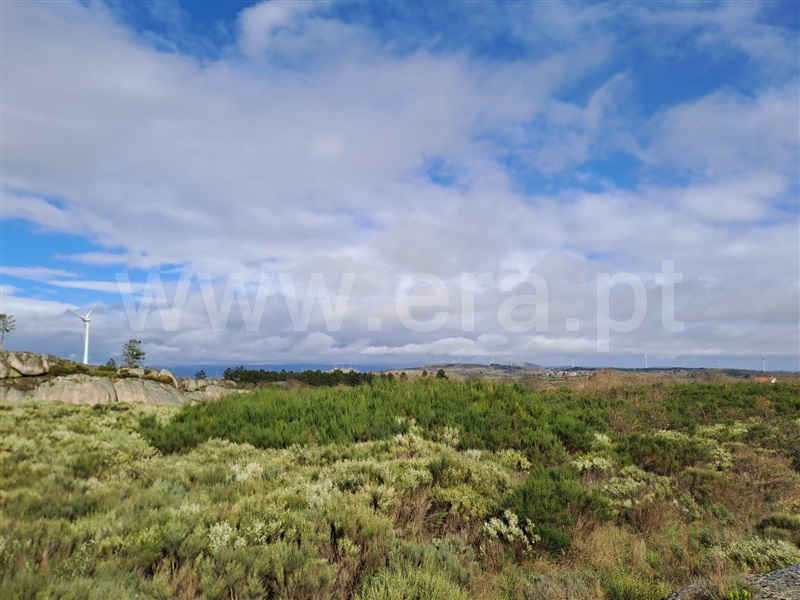 Terreno / Sabugal, Águas Belas