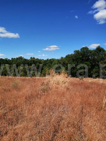 Terreno  Sabugal, Sabugal - 1272473 - 2