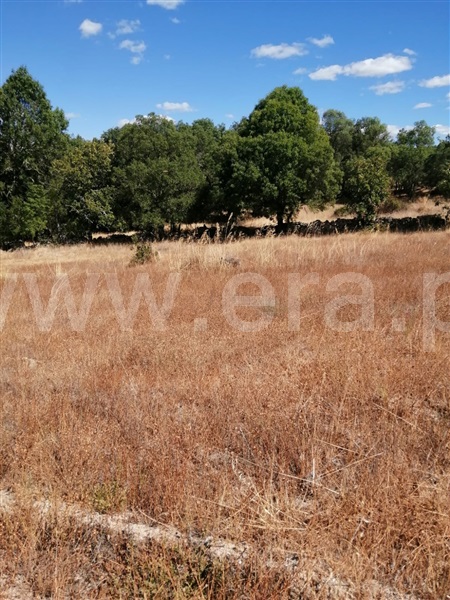 Terreno  Sabugal, Sabugal - 1272473 - 7
