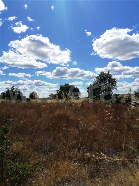 Terreno  Sabugal, Sabugal - 1272473 - 11