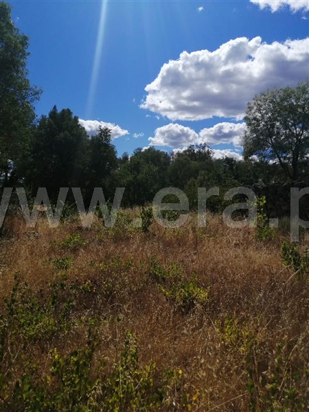Terreno  Sabugal, Sabugal - 1272473 - 14