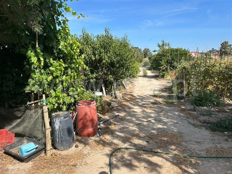 Terreno  Salvaterra de Magos, Marinhais - 1496083 - 7