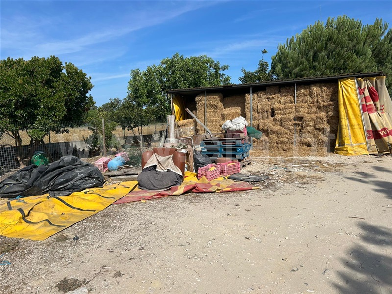 Terreno  Salvaterra de Magos, Marinhais - 1496083 - 8
