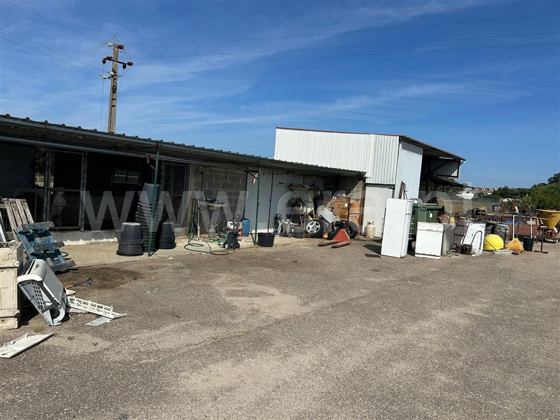 Terreno  Salvaterra de Magos, Marinhais - 1496083 - 9