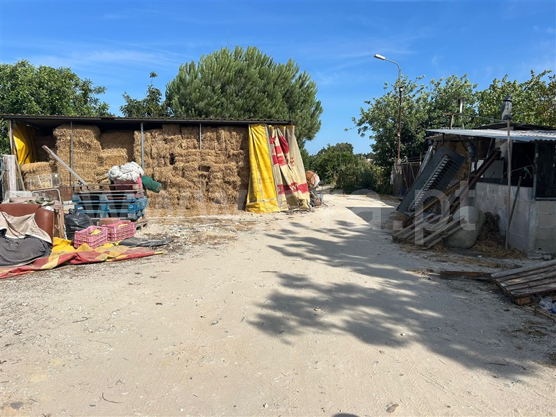 Terreno  Salvaterra de Magos, Marinhais - 1496083 - 13