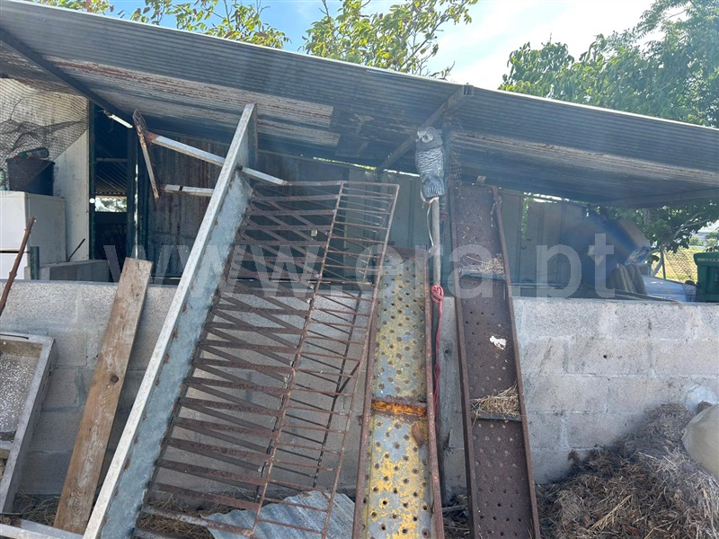 Terreno  Salvaterra de Magos, Marinhais - 1496083 - 14