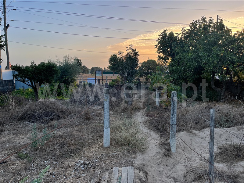 Terreno  Salvaterra de Magos, Marinhais - 1507260 - 2
