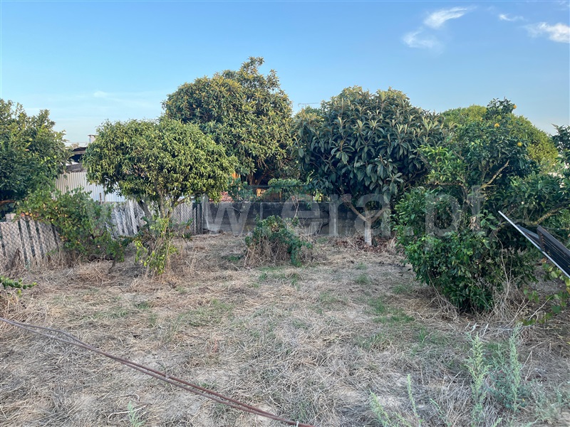 Terreno  Salvaterra de Magos, Marinhais - 1507260 - 3