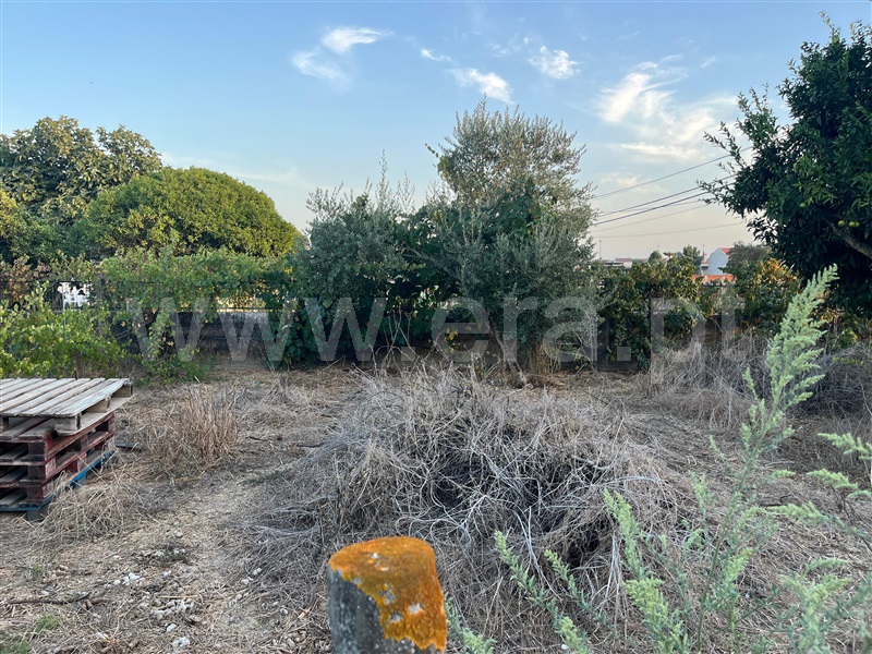 Terreno  Salvaterra de Magos, Marinhais - 1507260 - 4