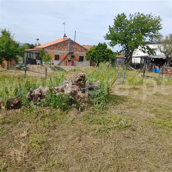 Terreno  Santa Comba Dão, Ovoa e Vimieiro - 1512382 - 3