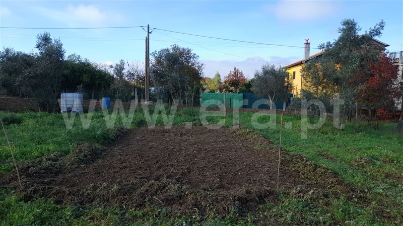 Terreno  Santa Comba Dão, Ovoa e Vimieiro - 1512382 - 4