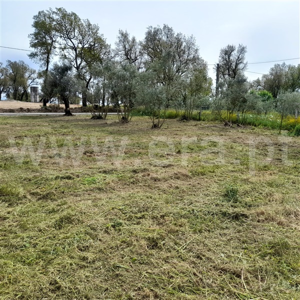 Terreno  Santa Comba Dão, Ovoa e Vimieiro - 1512382 - 6