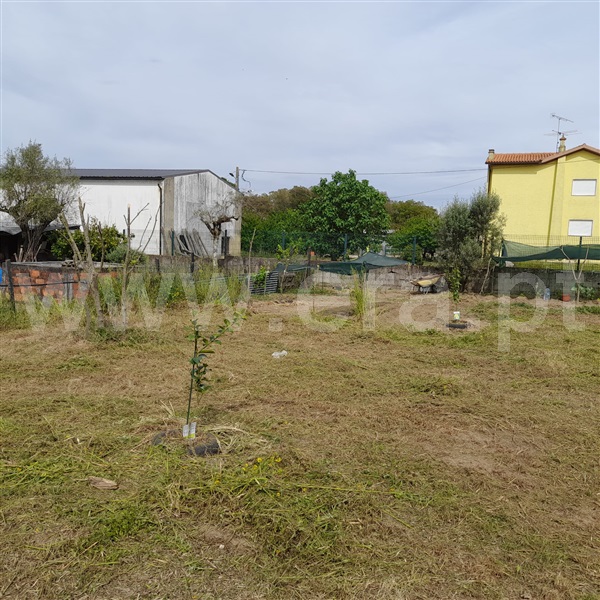 Terreno  Santa Comba Dão, Ovoa e Vimieiro - 1512382 - 7