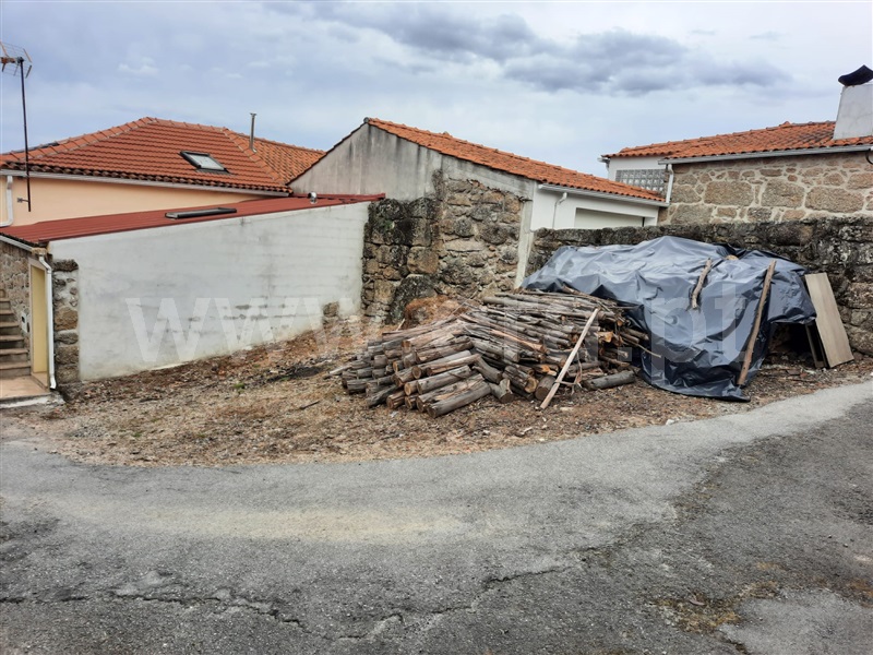 Terreno / Santa Comba Dão, Pinheiro de Ázere