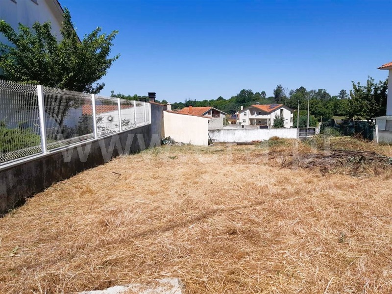 Terreno  Santa Comba Dão, Santa Comba Dão e Couto do Mosteiro - 1372642 - 3