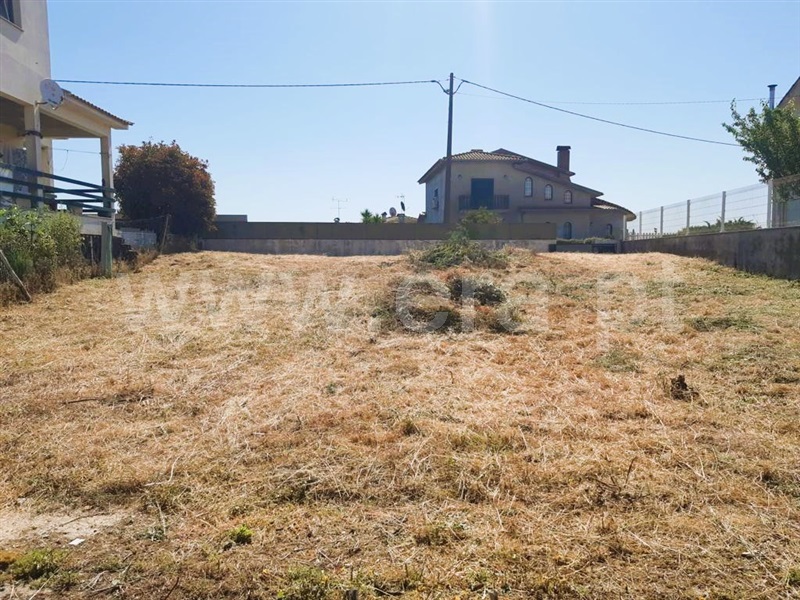 Terreno / Santa Comba Dão, Santa Comba Dão e Couto do Mosteiro