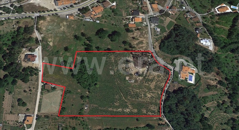 Terreno  Santa Comba Dão, Santa Comba Dão - 938063 - 2