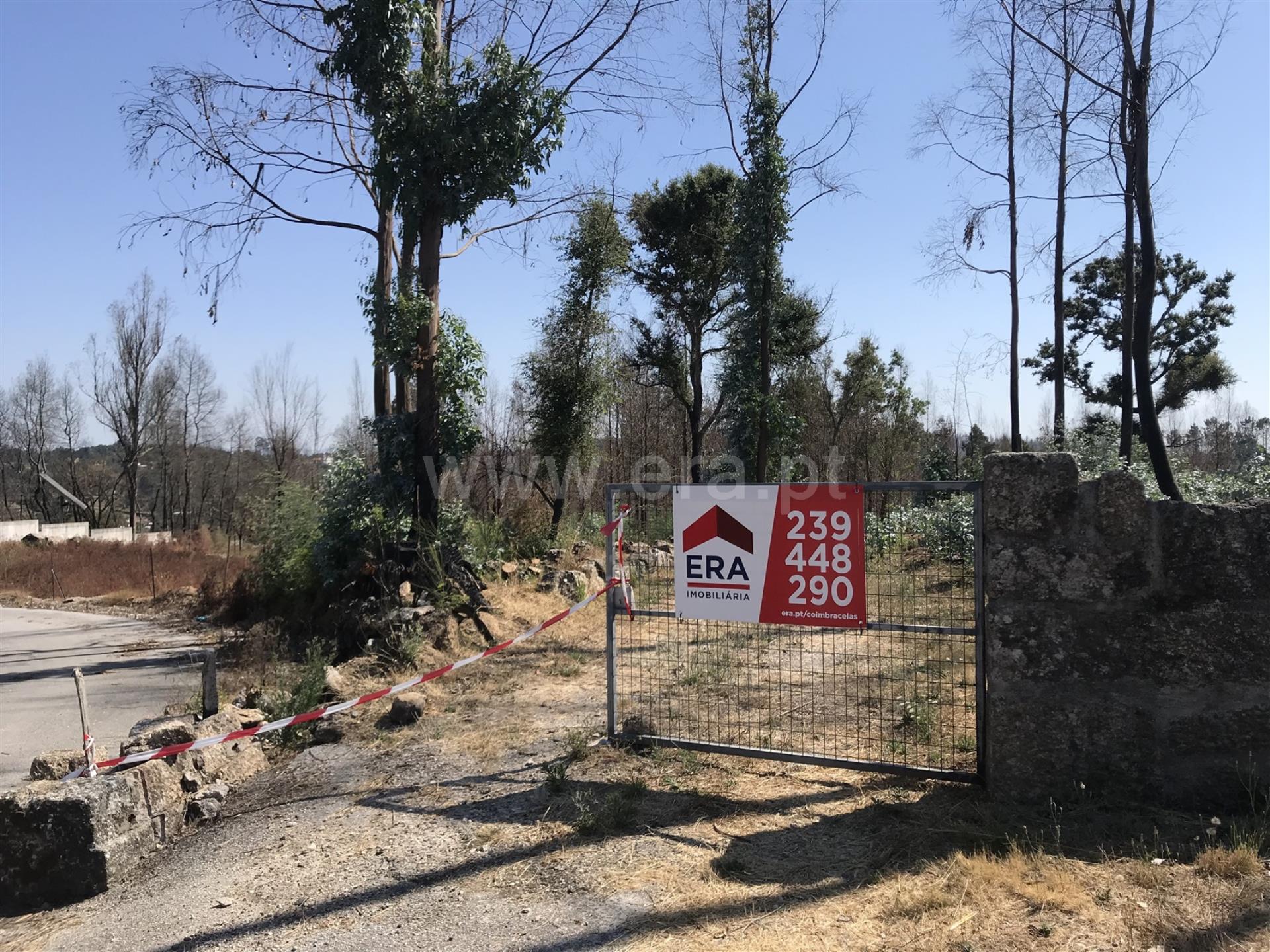 Land for sale in Santa Comba Dão, Portugal — €250,000