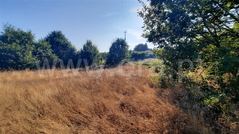 Terreno / Santa Comba Dão, Treixedo e Nagozela