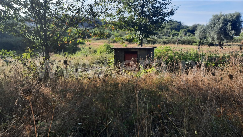 Terreno  Santa Comba Dão, Treixedo e Nagozela - 1428026 - 3