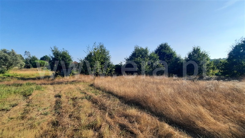 Terreno  Santa Comba Dão, Treixedo e Nagozela - 1428026 - 4