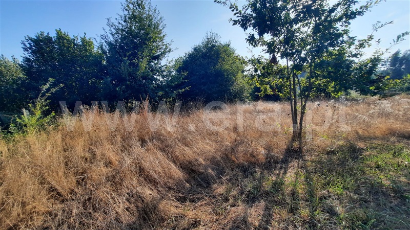 Terreno  Santa Comba Dão, Treixedo e Nagozela - 1428026 - 5