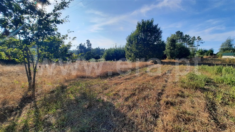 Terreno  Santa Comba Dão, Treixedo e Nagozela - 1428026 - 6