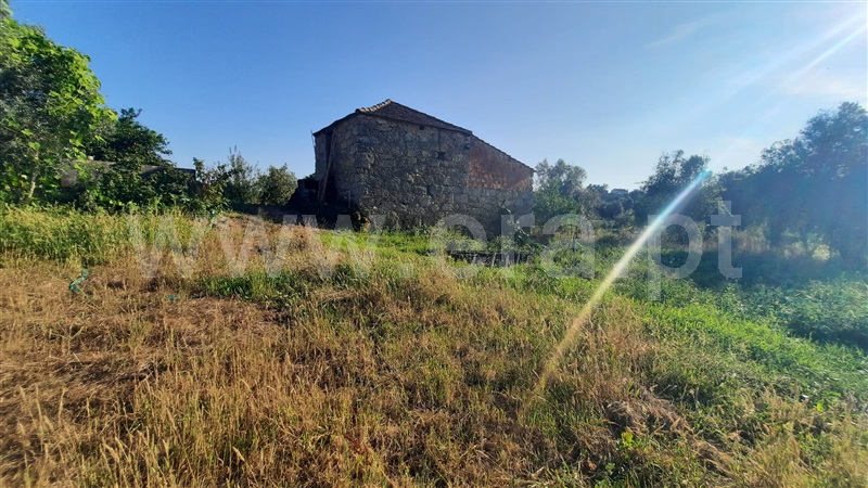 Terreno  Santa Comba Dão, Treixedo e Nagozela - 1428026 - 7