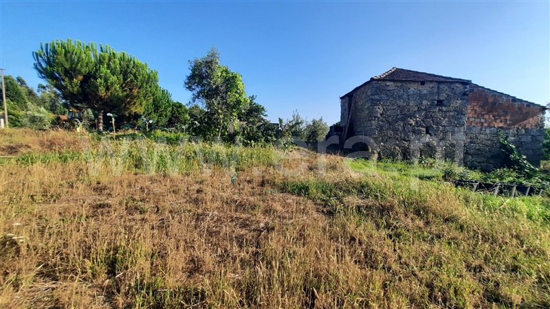 Terreno  Santa Comba Dão, Treixedo e Nagozela - 1428026 - 8