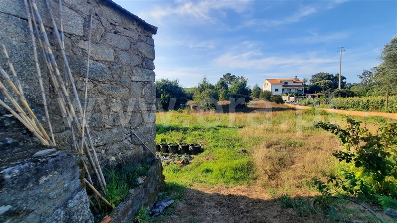 Terreno  Santa Comba Dão, Treixedo e Nagozela - 1428026 - 9