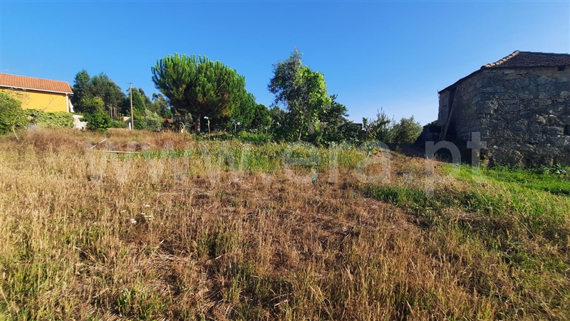 Terreno  Santa Comba Dão, Treixedo e Nagozela - 1428026 - 10