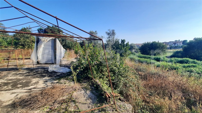 Terreno  Santa Comba Dão, Treixedo e Nagozela - 1428026 - 13